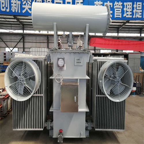 乐昌S20-8000KVA变压器
